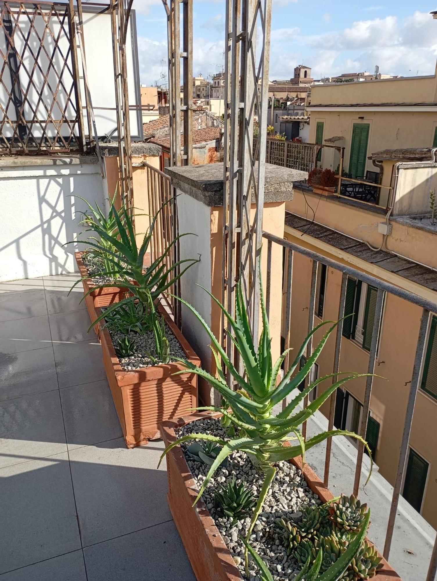 Colosseum Exclusive Duplex Рим Екстер'єр фото